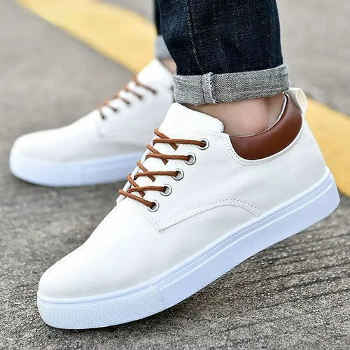 Avignon Men's Canvas Low-Top Sneakers