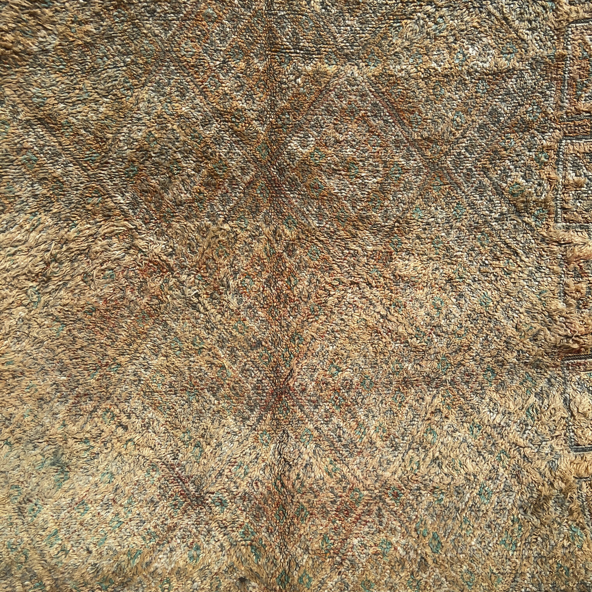 Vintage Beni Mguild Rug 8.86 ft × 6.23 ft