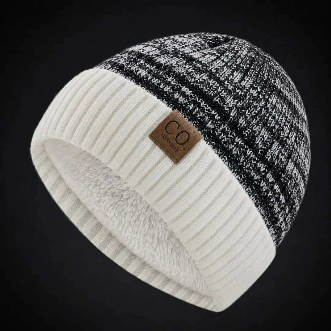 Hudson Men's Wool Beanie