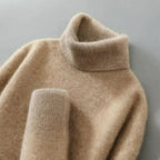 Woodfield Men's Tailored Wool Turtleneck